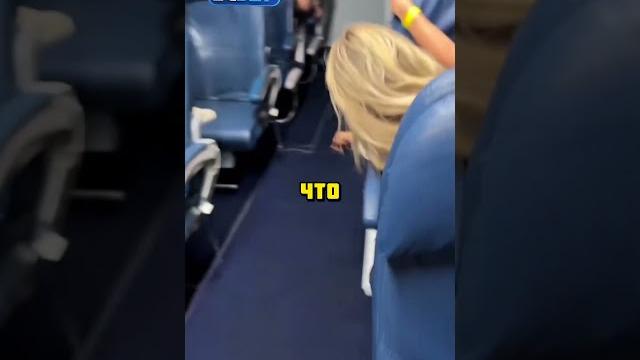 Паук попал на борт самолета #шок #рекомендации #шортс Паук попал на борт самолета #шок #рекомендации #шортс