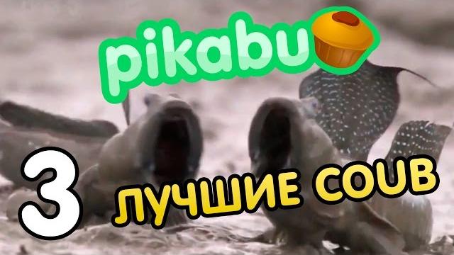 Лучшие coub по версии PIKABU. Часть 3 Лучшие coub по версии PIKABU. Часть 3