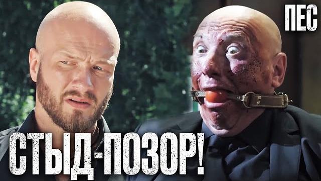 ИСПАНСКИЙ СТЫД! Смешной ДЕТЕКТИВ 2023 - Сериал ПЕС 2023 - Лучшие серии ИСПАНСКИЙ СТЫД! Смешной ДЕТЕКТИВ 2023 - Сериал ПЕС 2023 - Лучшие серии