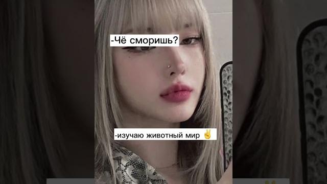 Учимся хамить красиво 2-я часть Учимся хамить красиво 2-я часть