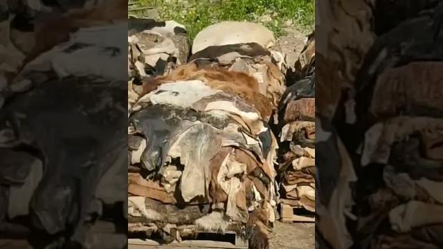 Всё ещё едите колбасу? После этого не будете Вот из чего делают колбасу на самом деле. Всё ещё едите колбасу? После этого не будете Вот из чего делают колбасу на самом деле.