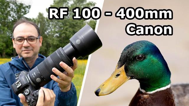 Testing the Canon RF 100-400mm F/5.6-F/8 IS USM Lens for Wildlife Photography – In the Field Testing the Canon RF 100-400mm F/5.6-F/8 IS USM Lens for Wildlife Photography – In the Field