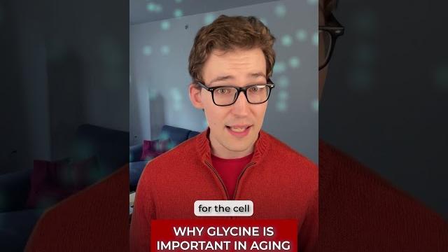 Why Glycine is important in Aging Why Glycine is important in Aging