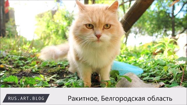 Ракитное, Белгородская область, Россия Ракитное, Белгородская область, Россия
