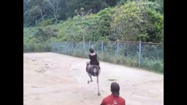 Топ 3 смешных видео #юмор #китай Топ 3 смешных видео #юмор #китай