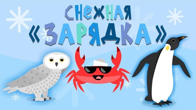 Капитан Краб: "Снежная зарядка" Капитан Краб: "Снежная зарядка"