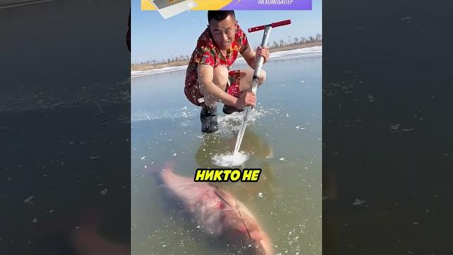 Папа хотел спасти рыбку, но... Папа хотел спасти рыбку, но...