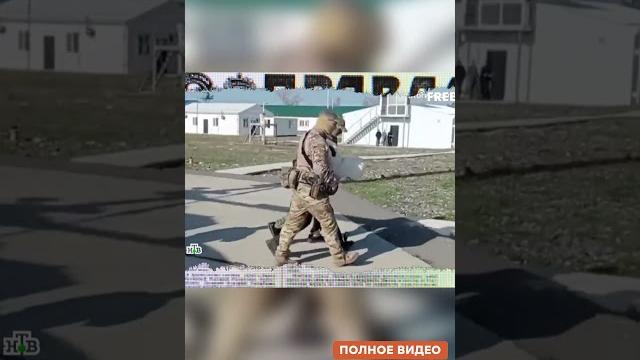 ВСЯ Россия НА УШАХ! ФСБ ЗАЛЕТЕЛА ПО ПОЛНОЙ. Бастрыкин ОШАРАШИЛ Z-патриотов ПРИЗНАНИЕМ | Антизомби ВСЯ Россия НА УШАХ! ФСБ ЗАЛЕТЕЛА ПО ПОЛНОЙ. Бастрыкин ОШАРАШИЛ Z-патриотов ПРИЗНАНИЕМ | Антизомби