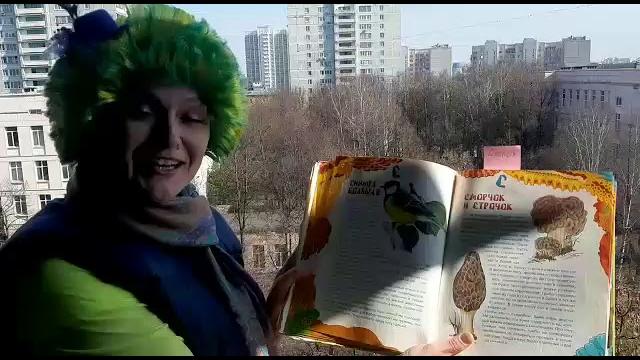 Кто к нам в гости прилетел Кто к нам в гости прилетел