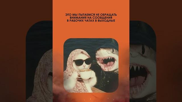 ВЫХОДНЫЕ #видео #анимация #видеоролик #заказатьролик #анимация #съёмка #видеостудия #юмор ВЫХОДНЫЕ #видео #анимация #видеоролик #заказатьролик #анимация #съёмка #видеостудия #юмор