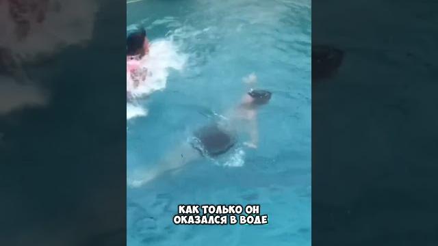 Бассейн с тайной Бассейн с тайной