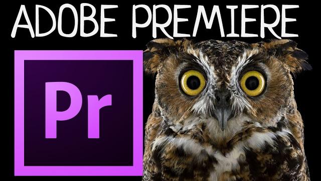 Стабилизация видео в Adobe Premiere Стабилизация видео в Adobe Premiere