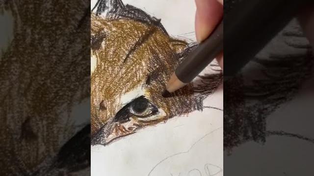 Нарисовала большлго ШЛЁПУ с натуры! Нарисовала большлго ШЛЁПУ с натуры!