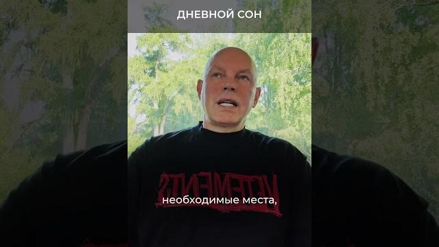 Дневной сон. Александр Палиенко. Дневной сон. Александр Палиенко.
