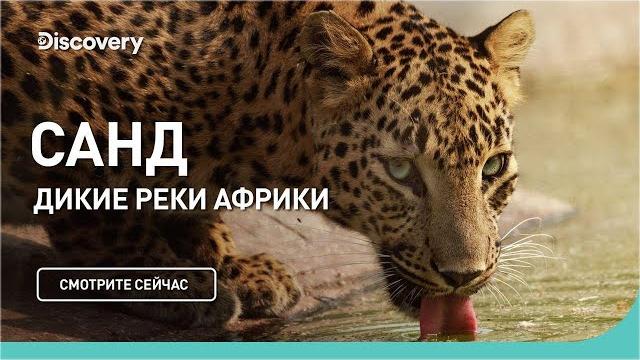 Река Санд | Дикие реки Африки | Discovery Река Санд | Дикие реки Африки | Discovery