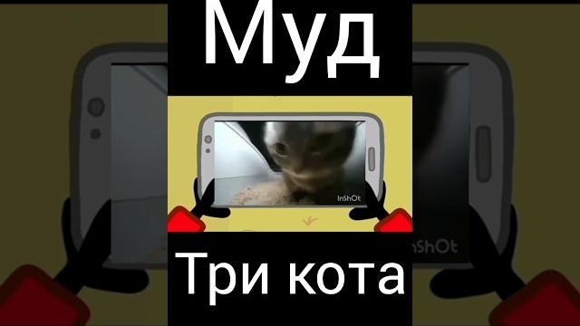муд три кота "телефон" муд три кота "телефон"