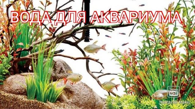 НУЖНО ЛИ ОТСТАИВАТЬ ВОДУ ДЛЯ ПОДМЕНЫ В АКВАРИУМЕ НУЖНО ЛИ ОТСТАИВАТЬ ВОДУ ДЛЯ ПОДМЕНЫ В АКВАРИУМЕ