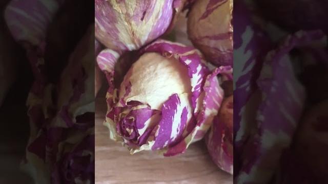 Роза #video #видео #приколы #прикольноевидео #хочуврек #шортс #shorts #цветы #роза #rose #flowers Роза #video #видео #приколы #прикольноевидео #хочуврек #шортс #shorts #цветы #роза #rose #flowers