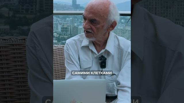 Почему важно давать организму отдых от еды? Почему важно давать организму отдых от еды?