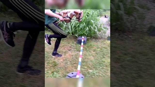 I'm going to remake this video someday #hobbyhorse #hobbyhorsing #hh #sport #therian #horses I'm going to remake this video someday #hobbyhorse #hobbyhorsing #hh #sport #therian #horses
