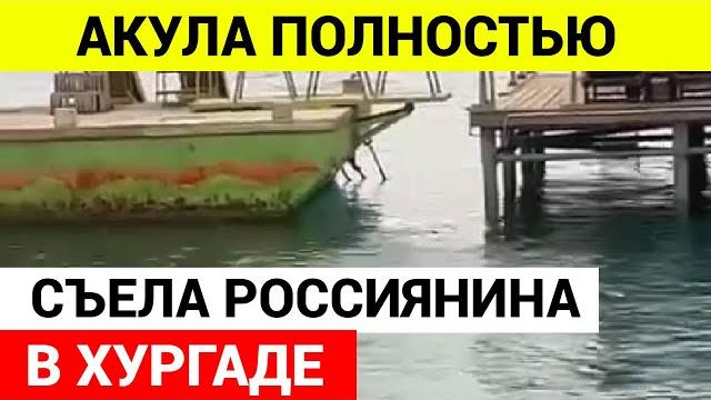 Она его останки доедает! Акула съела Россиянина в Египте Она его останки доедает! Акула съела Россиянина в Египте