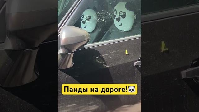 #панда #прикол #хочуврек #панда #прикол #хочуврек