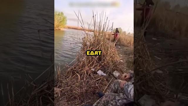 Автор видео: @Dmitry_Rodionov Настоящий рыбак Автор видео: @Dmitry_Rodionov Настоящий рыбак