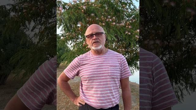 Табуретки, веревки и… мыло! Табуретки, веревки и… мыло!