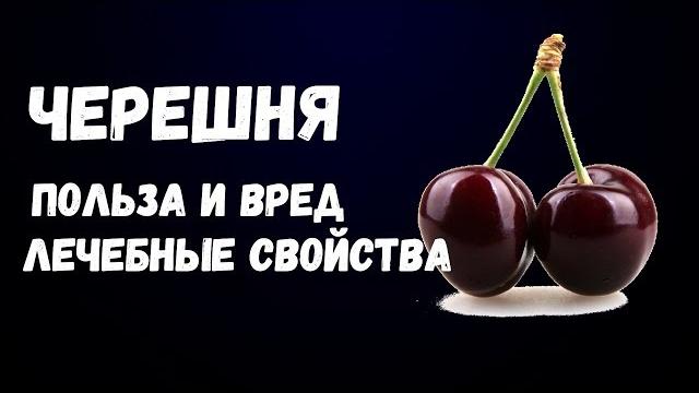 Черешня Польза и Вред Лечебные Свойства Черешня Польза и Вред Лечебные Свойства