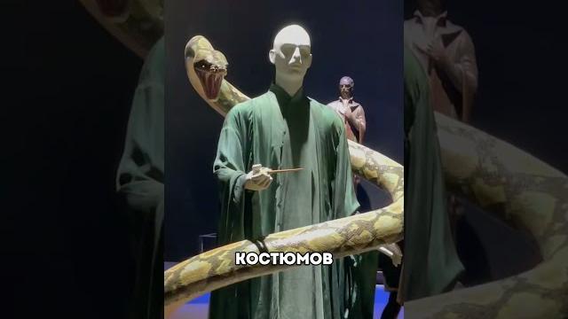 Самое волшебное место в Японии Самое волшебное место в Японии
