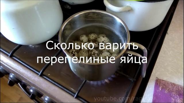 Сколько варить перепелиные яйца Сколько варить перепелиные яйца