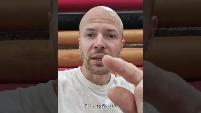 Что такое праймер и зачем он нужен? Что такое праймер и зачем он нужен?