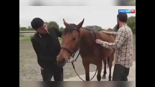 «Мажора» из Ингушетии прославилась на всю Россию )) «Мажора» из Ингушетии прославилась на всю Россию ))