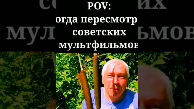 у меня камыш! у меня камыш!