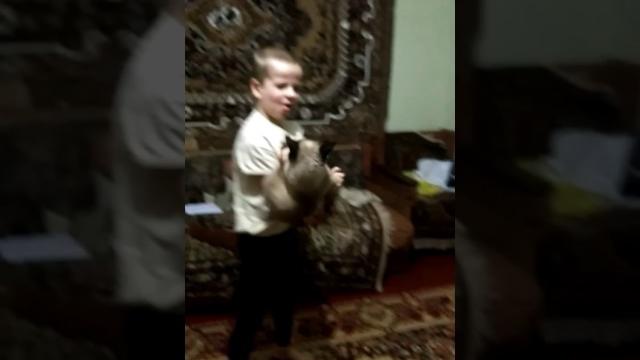Воспитание кота Воспитание кота