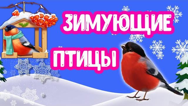 Зимующие ПТИЦЫ познавательное для детей Зимующие ПТИЦЫ познавательное для детей