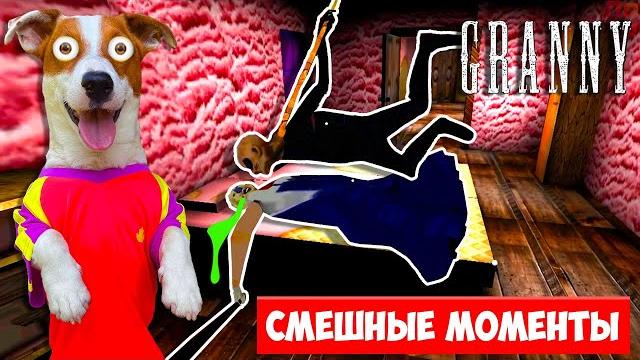 Подборка смешных моментов в Гренни от Локи Бобо Подборка смешных моментов в Гренни от Локи Бобо