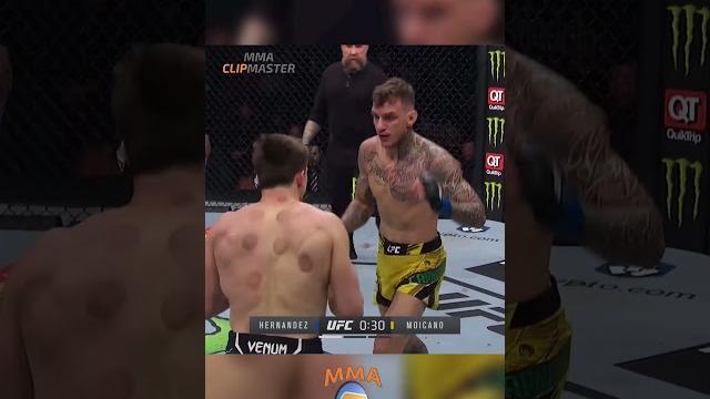 Renato Moicano GAVE Alexander Hernandez NO CHANCE Renato Moicano GAVE Alexander Hernandez NO CHANCE