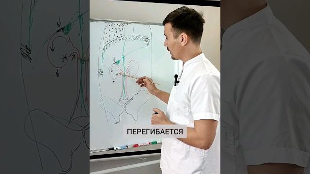 КАМНИ В ПОЧКАХ. ПОЧЕМУ ТАК ПРОИСХОДИТ #егормоскалев КАМНИ В ПОЧКАХ. ПОЧЕМУ ТАК ПРОИСХОДИТ #егормоскалев