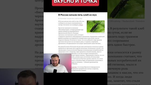 Хлеб из мух Хлеб из мух