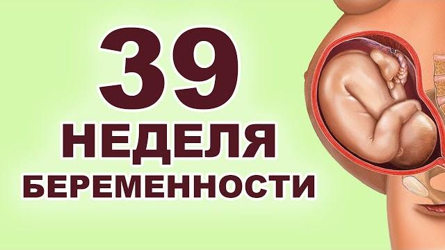 Что происходит с ребёнком и мамой на 39 неделе беременности? 9 месяц беременности. Третий триместр. Что происходит с ребёнком и мамой на 39 неделе беременности? 9 месяц беременности. Третий триместр.