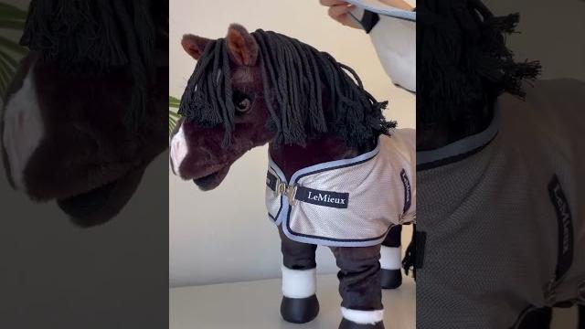 Игрушка Lemieux Pony @new-best-horse #конныйспорт #horse #конныйклуб #equestrian #riding #лошади Игрушка Lemieux Pony @new-best-horse #конныйспорт #horse #конныйклуб #equestrian #riding #лошади