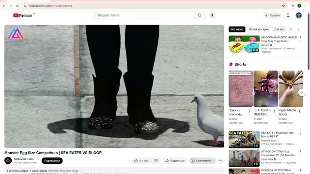 Скачать видео из ютуба. Скачать видео из ютуба.
