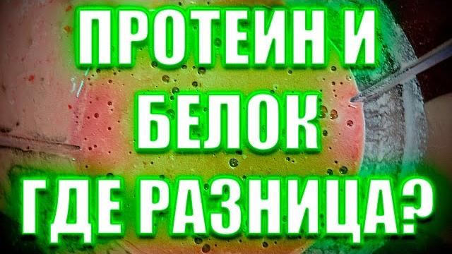 ЧТО ТАКОЕ ПРОТЕИН И ДЛЯ ЧЕГО ОН НУЖЕН? ЧТО ТАКОЕ ПРОТЕИН И ДЛЯ ЧЕГО ОН НУЖЕН?