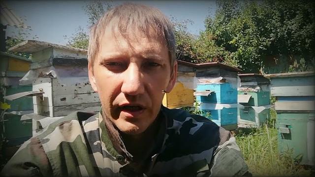 Йод и Дексаметазон от укусов и аллергии.Спасение при укусах змей,шершня,ос,пчёл,пауков,тарантула. Йод и Дексаметазон от укусов и аллергии.Спасение при укусах змей,шершня,ос,пчёл,пауков,тарантула.