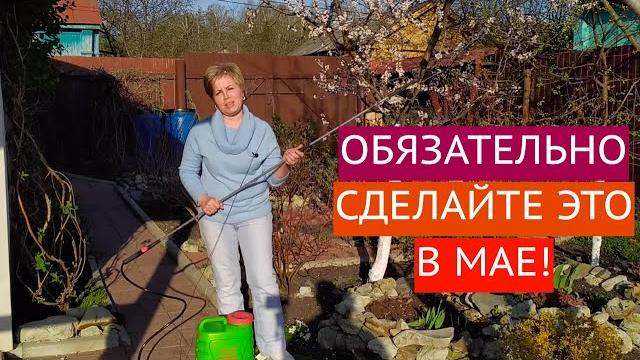 ОСНОВНЫЕ РАБОТЫ В САДУ И ОГОРОДЕ В МАЕ! ОСНОВНЫЕ РАБОТЫ В САДУ И ОГОРОДЕ В МАЕ!