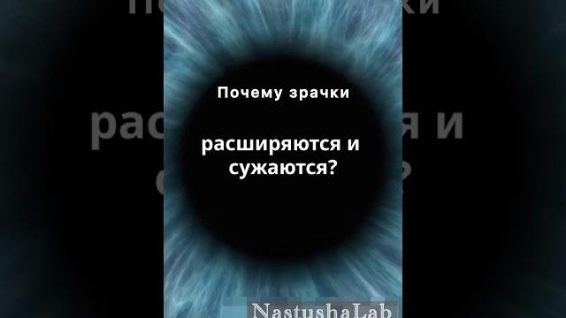 Почему зрачки расширяются и сужаются? #биология #хочуфакты #интересныефакты #факты #анатомия #глаза Почему зрачки расширяются и сужаются? #биология #хочуфакты #интересныефакты #факты #анатомия #глаза