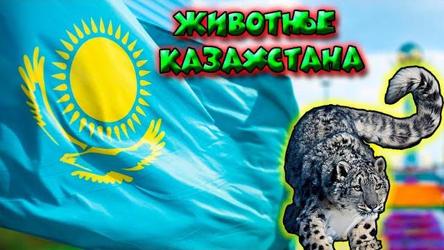 Животные Казахстана / Animals of Kazakhstan Животные Казахстана / Animals of Kazakhstan