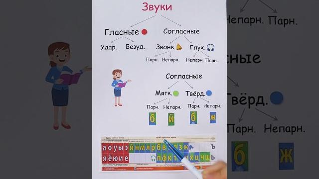 Звуки русского языка! Звуки русского языка!