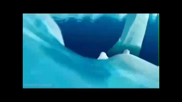 Шаурма.Смешное видео. Шаурма.Смешное видео.